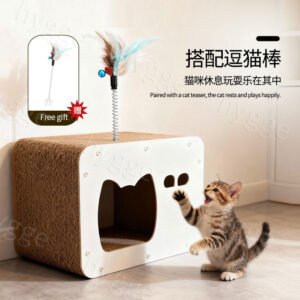red panda cat scratching board