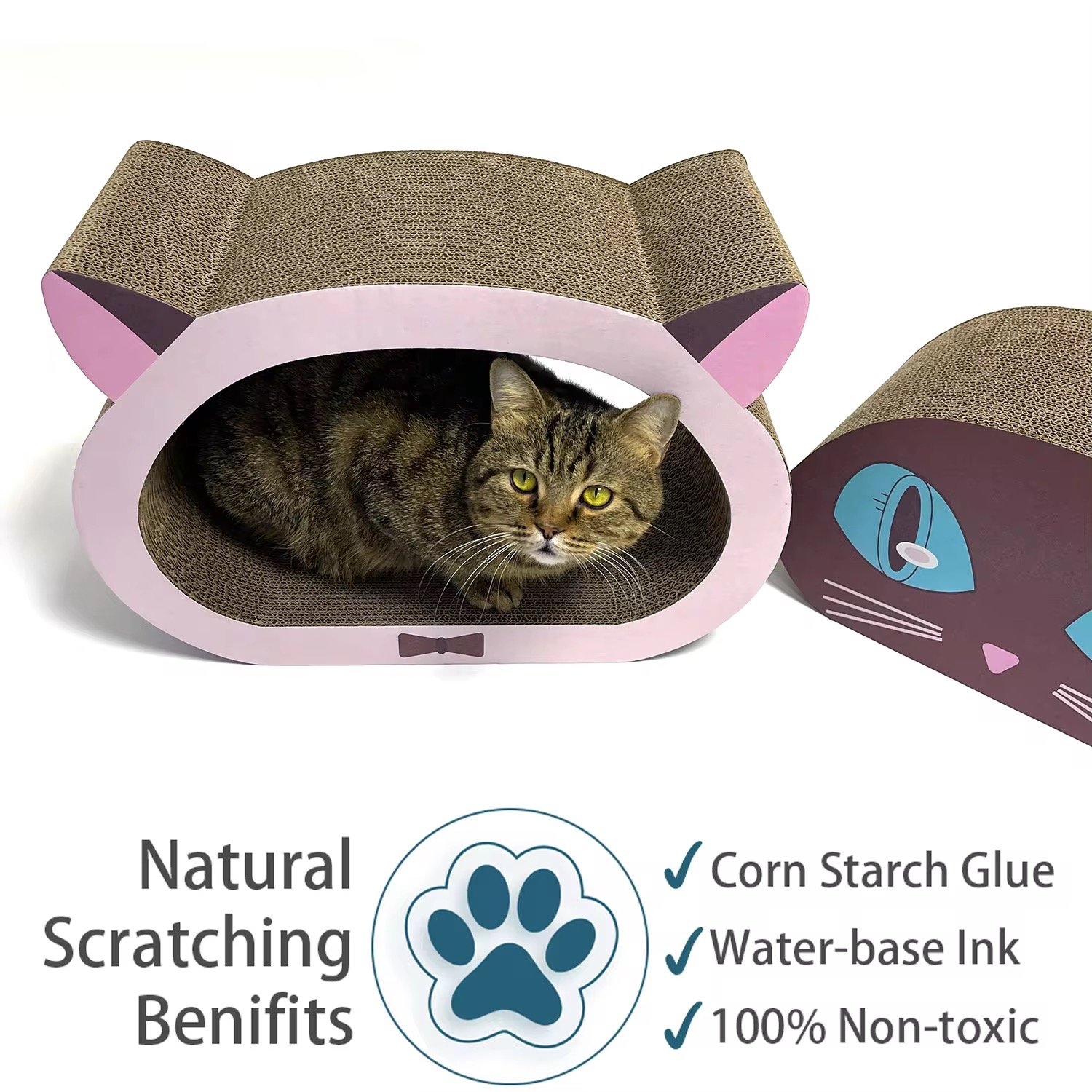 2 in 1 cat scratching board