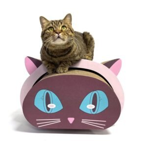 2 in 1 cat scratching board