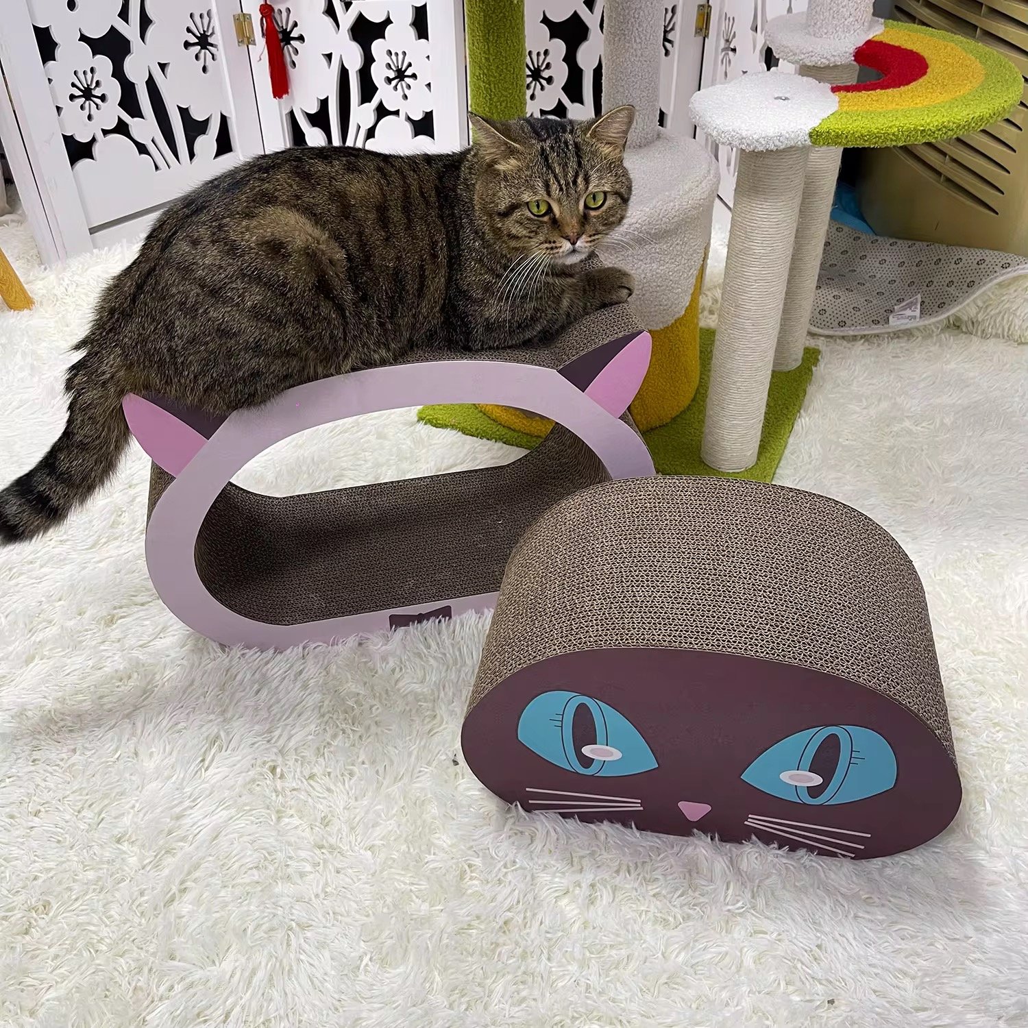 2 in 1 cat scratching board