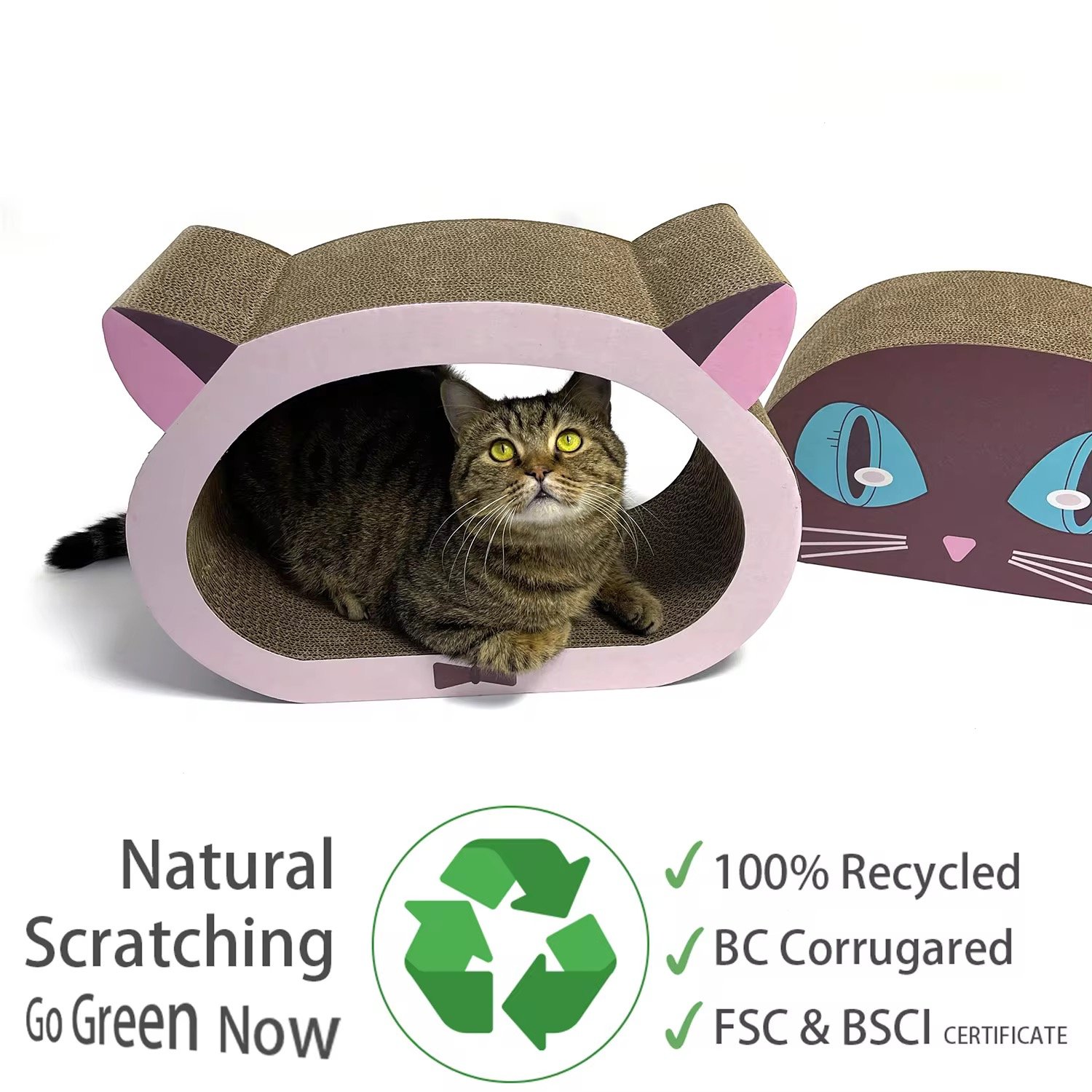 2 in 1 cat scratching board