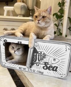 cat scratching board for canned fish stickers