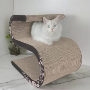 微信图片 202502191054332